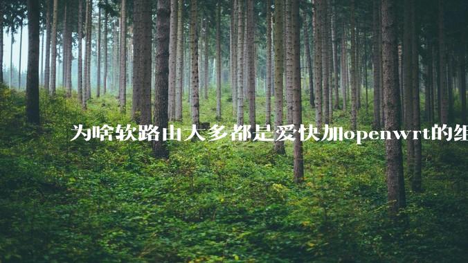为啥软路由大多都是爱快加openwrt的组合，单openwrt有什么缺点嘛？