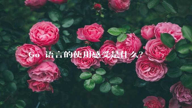 Go 语言的使用感受是什么？